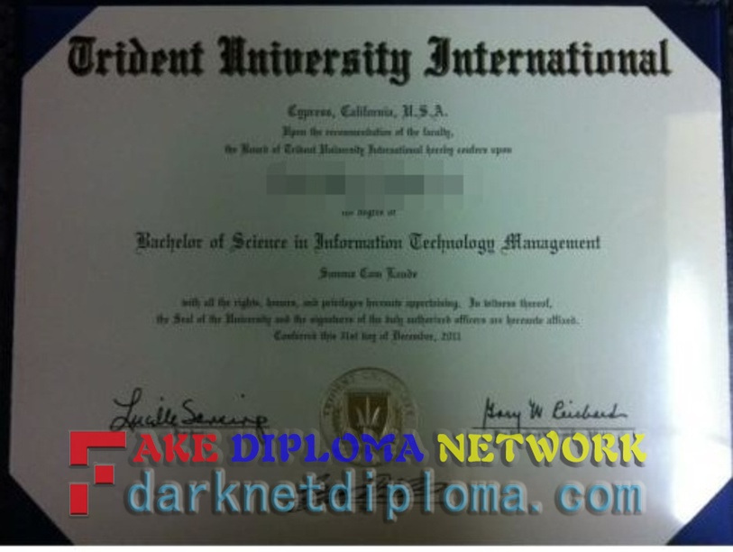The Steps to Buy a Fake Trident University International Diploma: A Comprehensive Guide