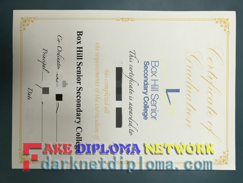 Unveiling the Truth: Is It Time to Ditch the "Fake Box Hill Senior Secondary College Diploma"?
