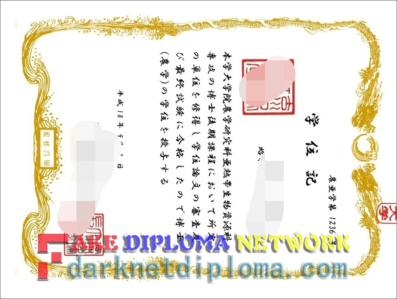 Is It Possible to Buy a Fake University of the Ryukyus Degree?