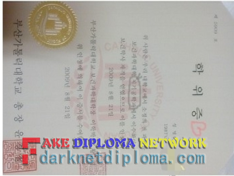 How to "Copy and Paste" Your Way to a Fake Degree from The Catholic University of Busan