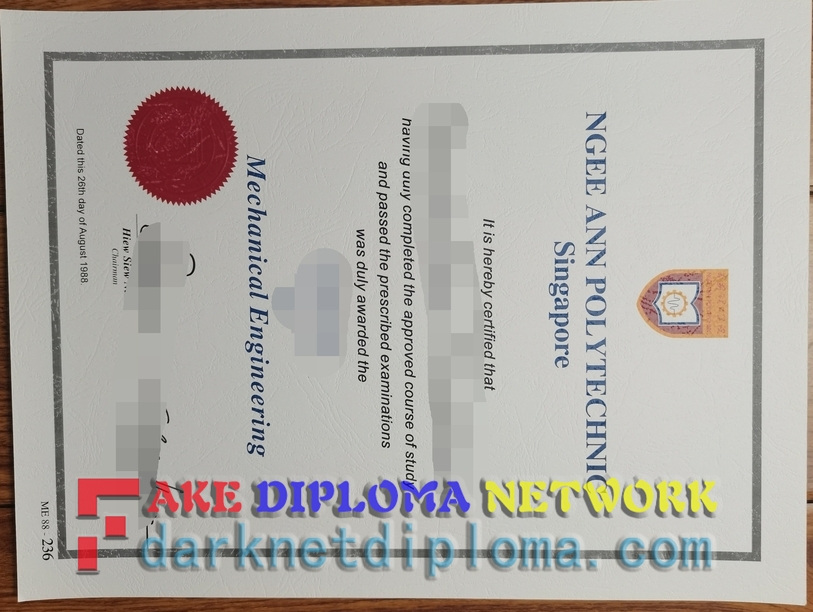 The Best "Fake" Ngee Ann Polytechnic (NP) Degree: More Than Just a Credential