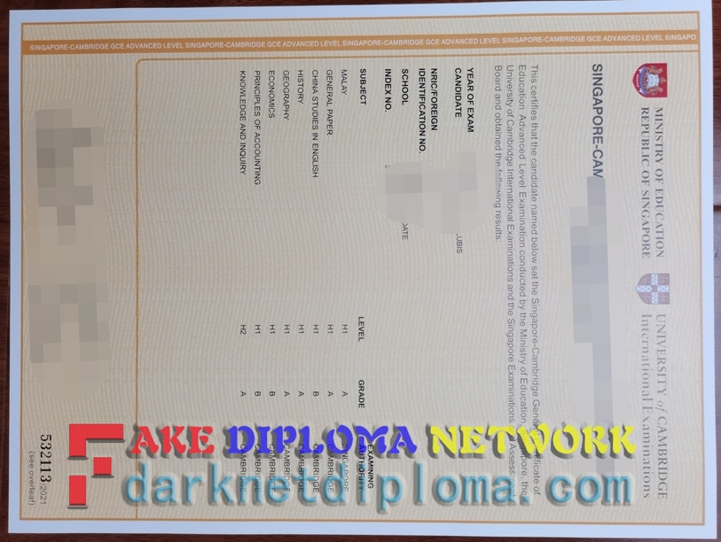 How Fast Can You Get a Fake University of Cambridge Diploma?